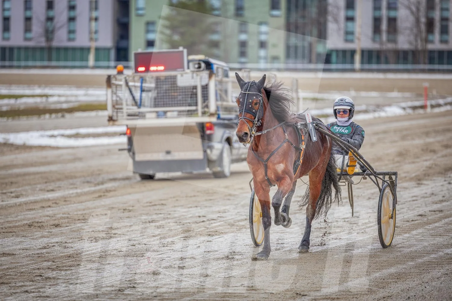 Pferderennen auf der Trabrennbahn in Wien Krieau.