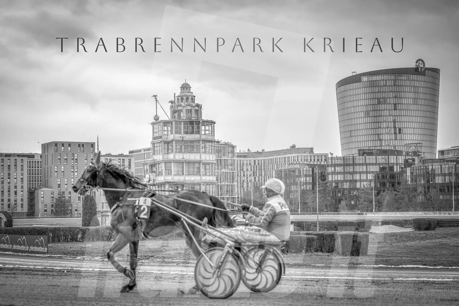 Schwarz-weiß-Foto eines Pferderennens im Trab, mit einem Pferd und einem Trabrennfahrer, im Trabrennpark Krieau, Wien, im Hintergrund moderne Gebäude und Wolken am Himmel.