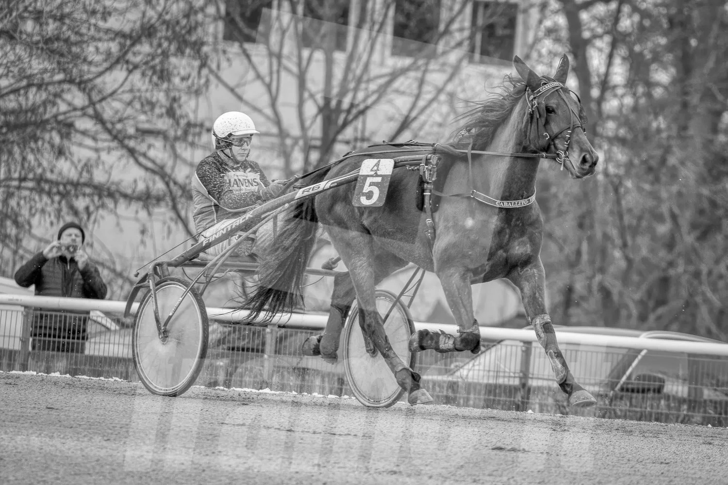 Trabrennpferd mit Trabrennfahrer auf der Trabrennbahn der Wiener Krieau.