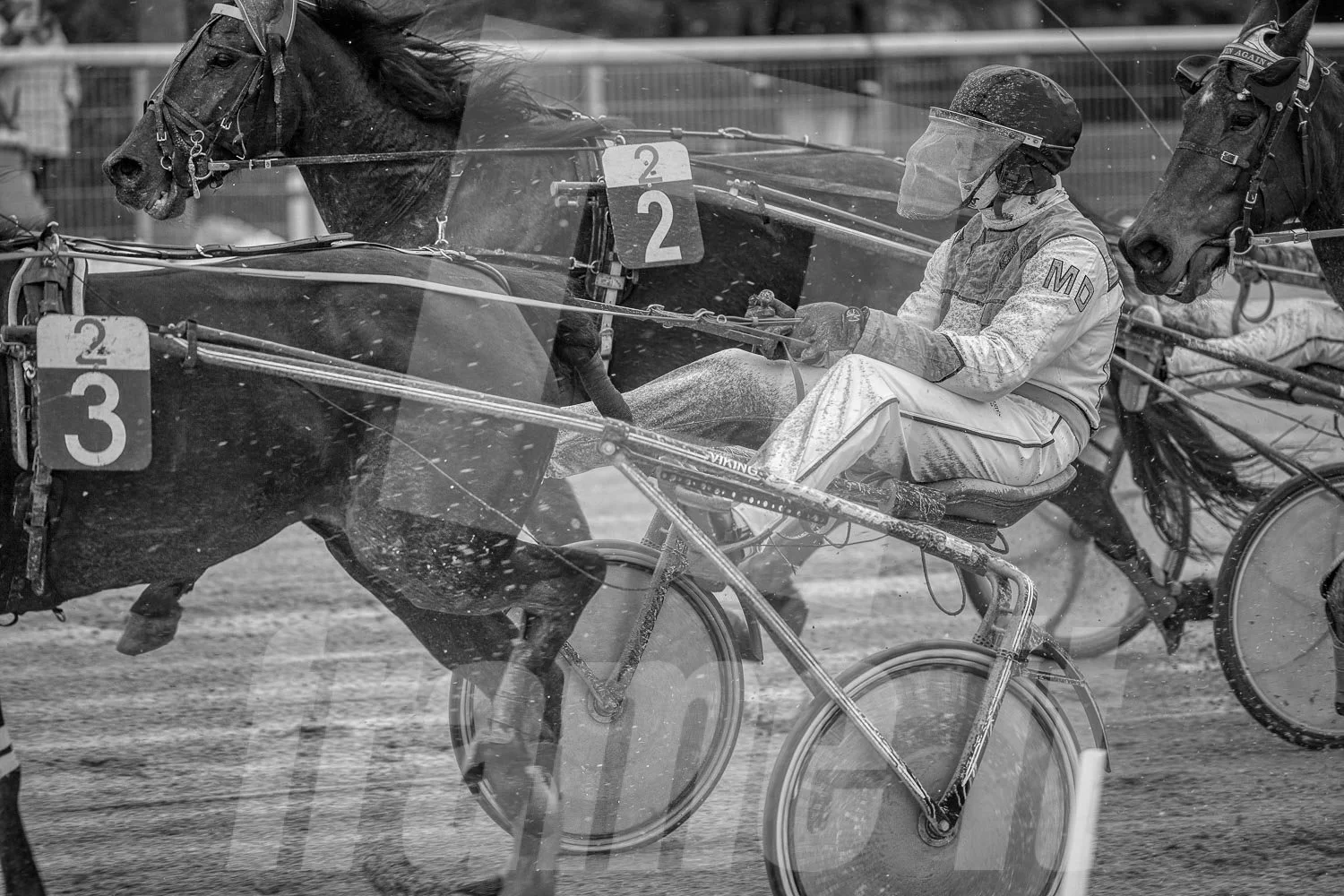 Pferderennen mit einem Trabrennfahrer in einem sulky, schwarz-weißer Foto,  auf der Rennbahn.
