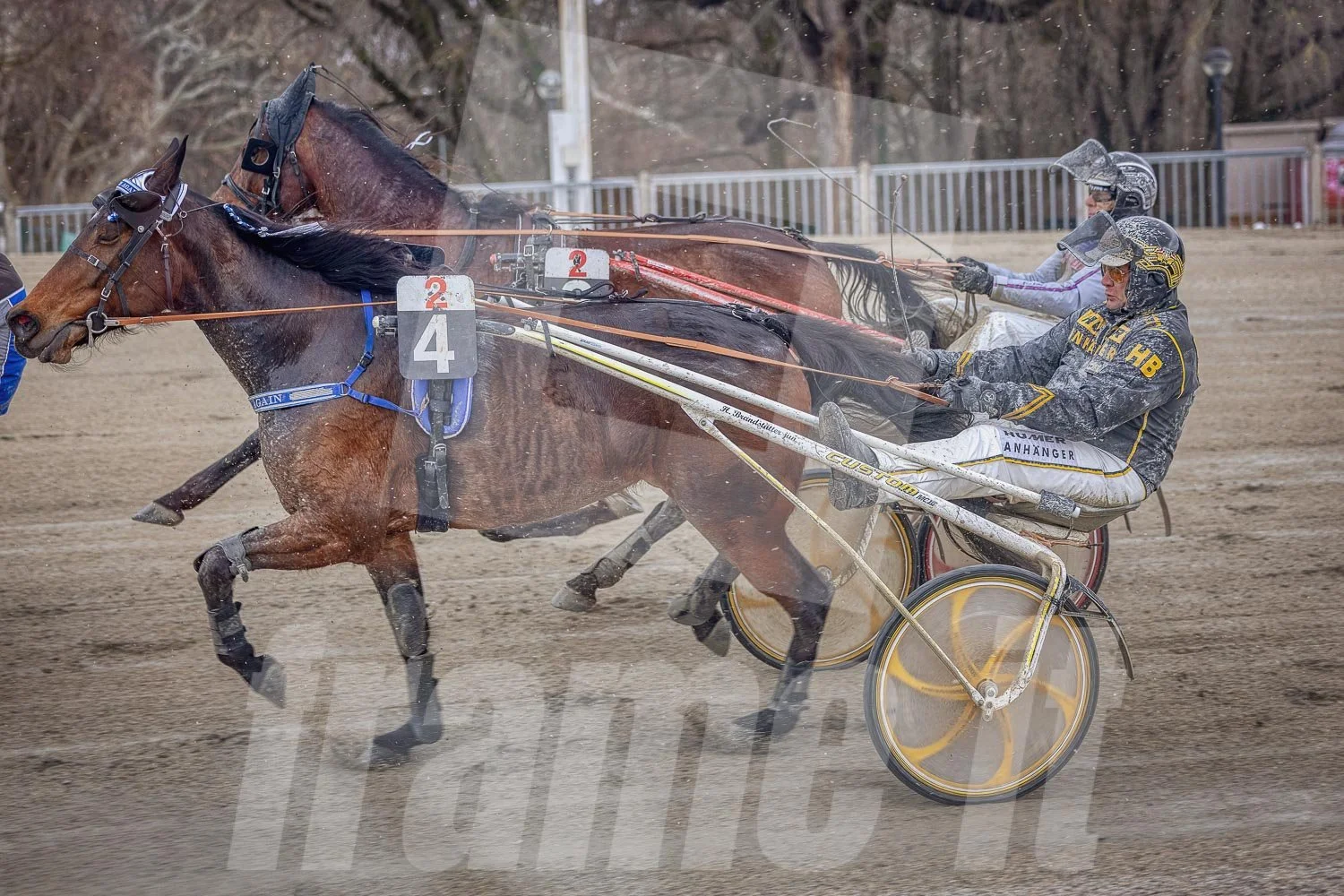 Pferderennen auf einer Bahn mit zwei Pferden und ihren Fahrern in Aktion, Staub fliegt auf.