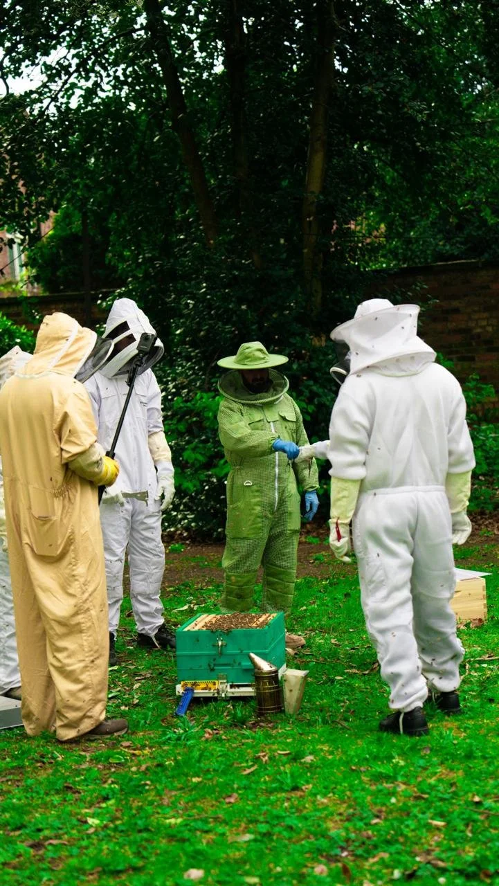 Taster Experience Course