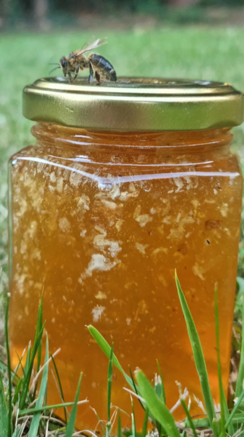 Screenshot 2026-01-23 154145.png