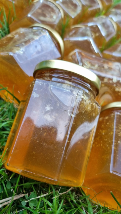 Screenshot 2026-01-23 154945.png