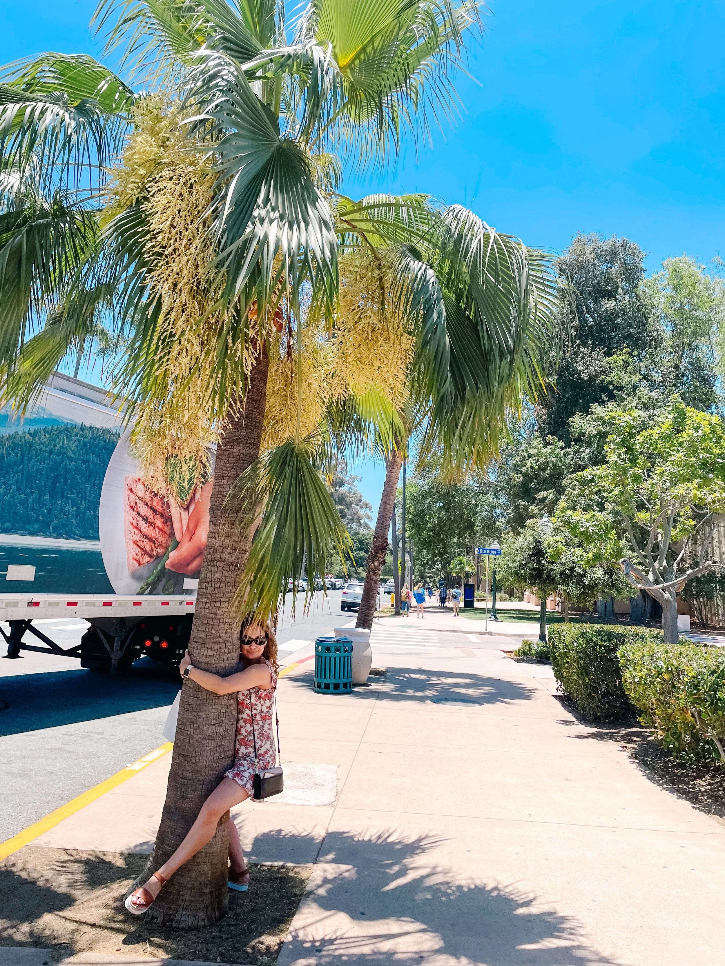 A woman hugging a palm tree on a sunny city sidewalk with blue sky and green trees in the background.
