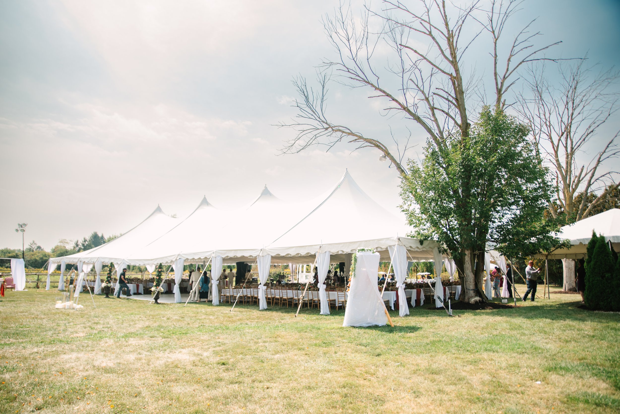 J & A (56 of 462).jpg