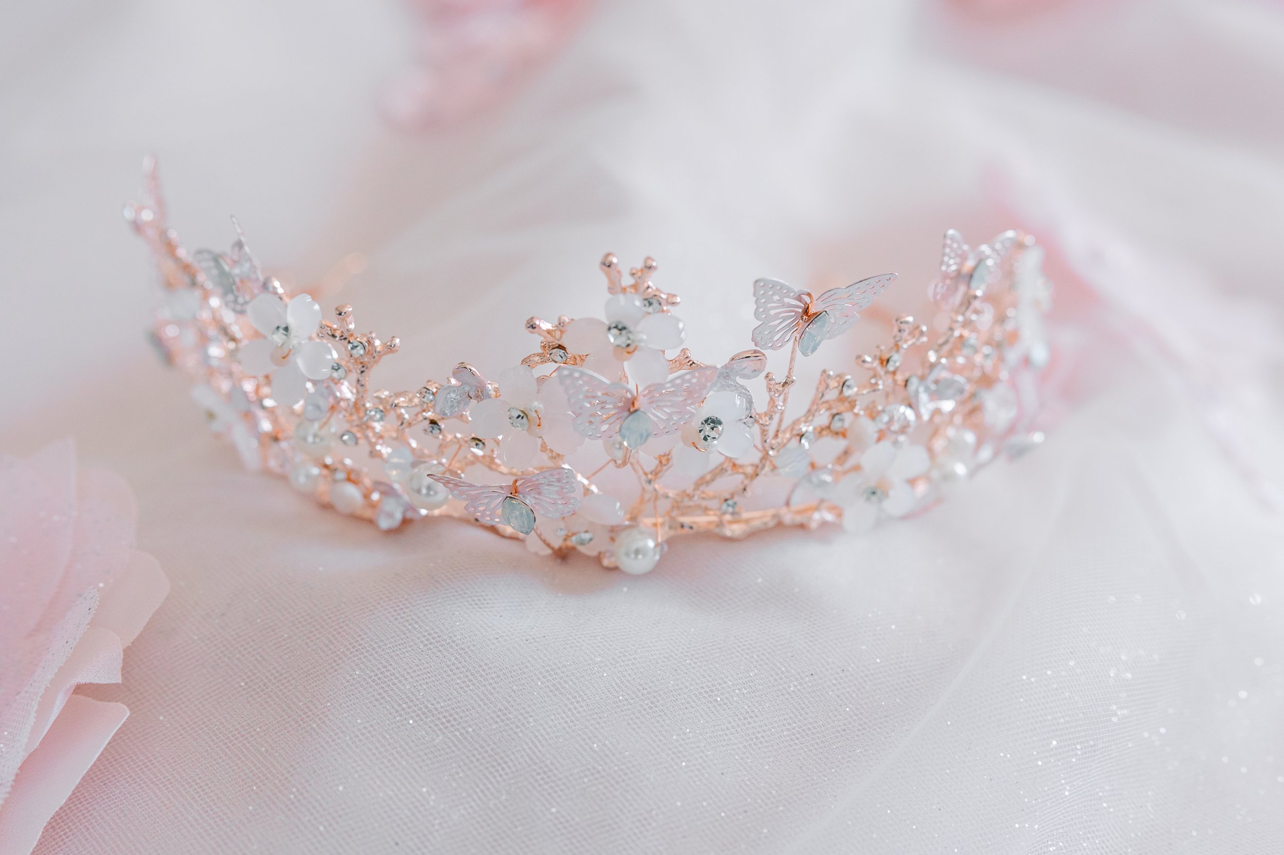 cassandraxv (13 of 928).jpg