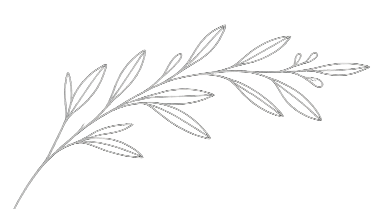 A minimalist, white line drawing of a leafy branch on a black background.