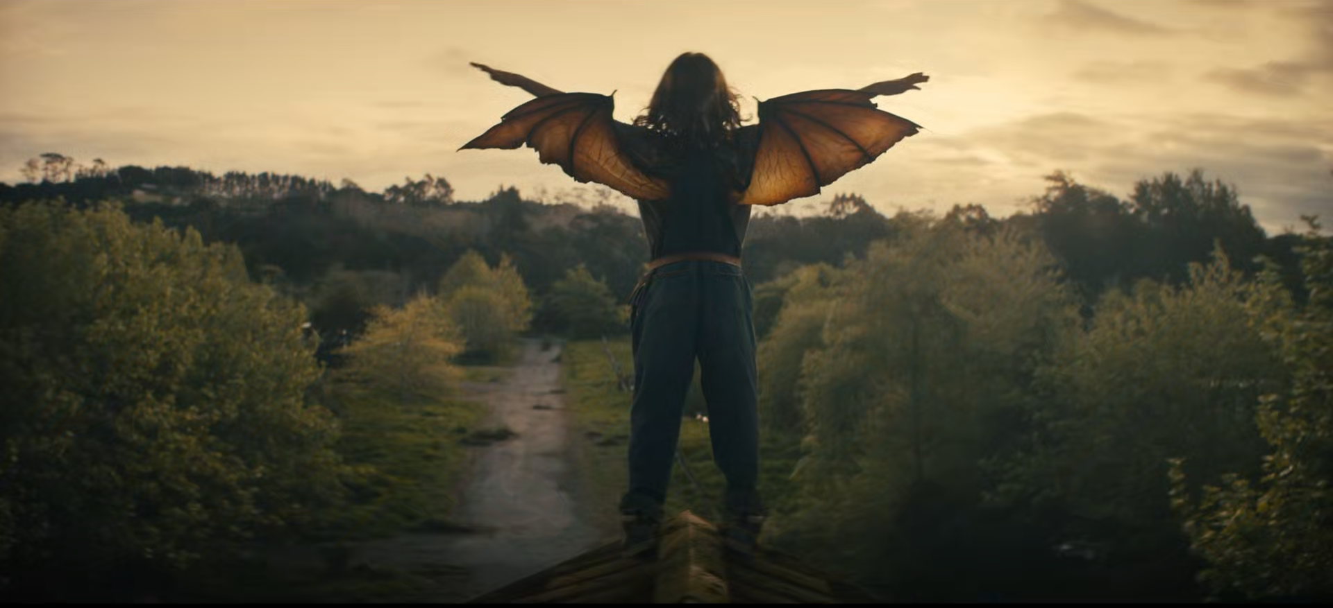 A person with dragonfly or bat-like wings standing on a boat in a natural outdoor setting with trees and rolling hills in the background during sunset or sunrise.
