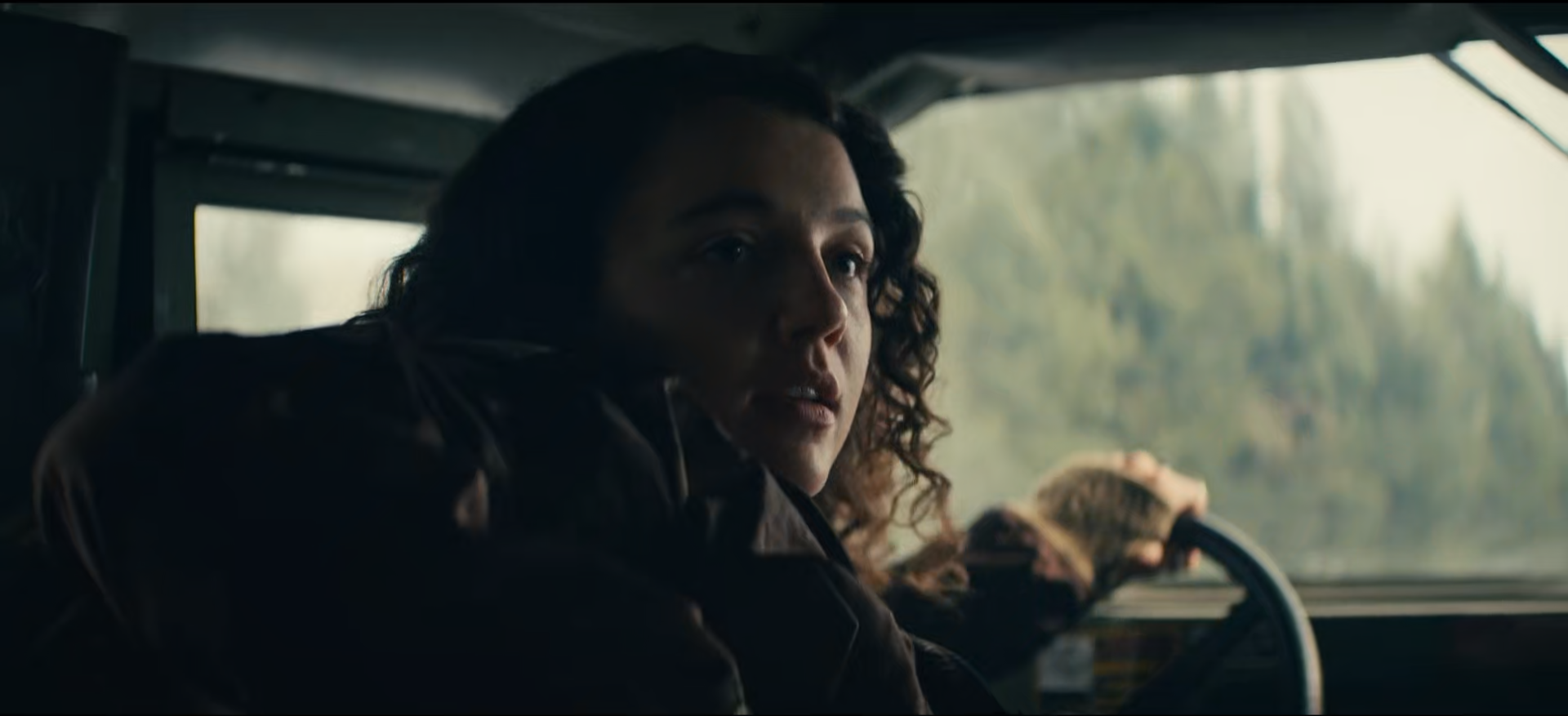 A person with curly hair driving a vehicle, looking over their shoulder, with a partially visible hand on the steering wheel and a scenic view of trees outside the window.