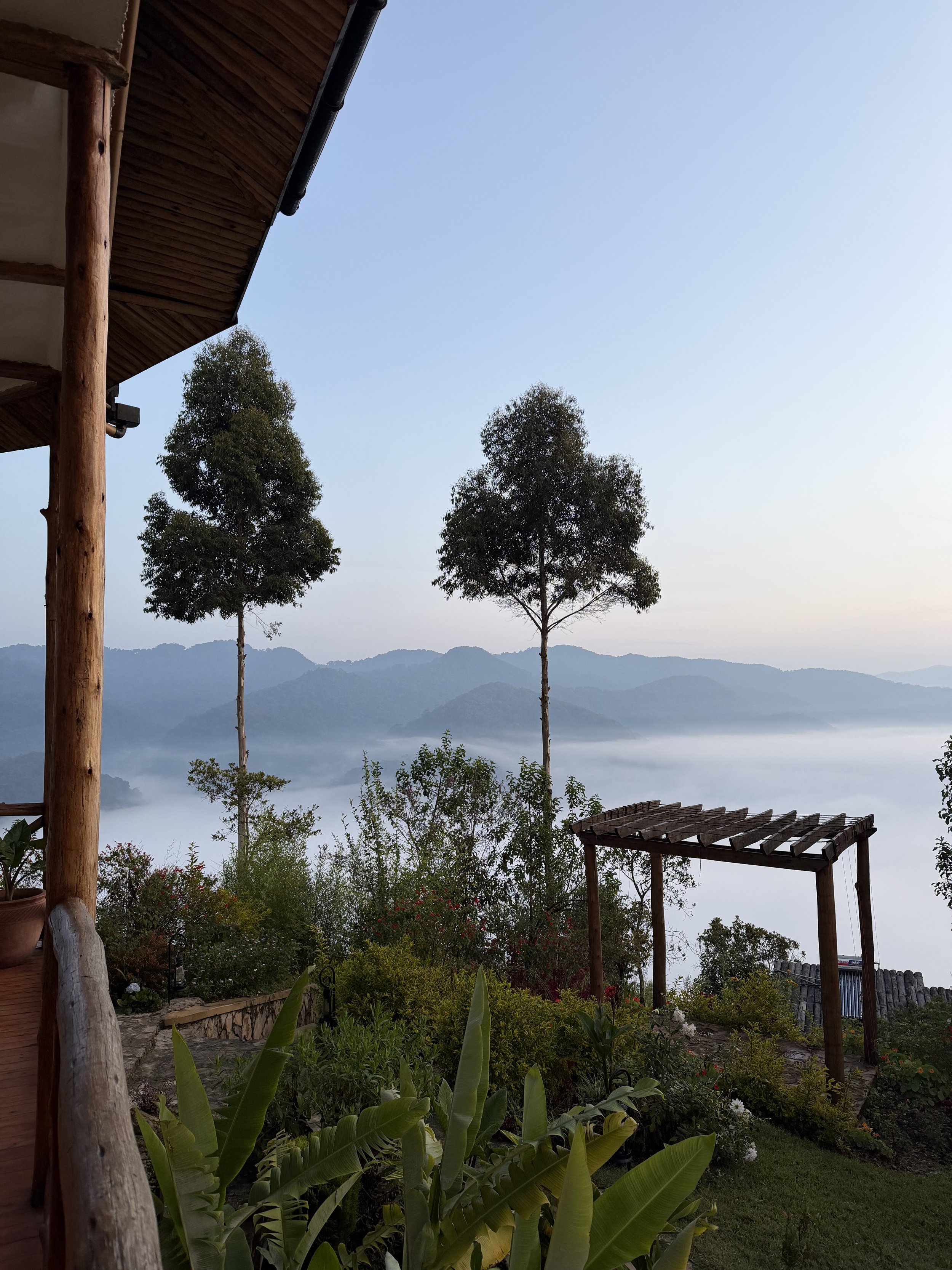 View of a lush green garden with various plants and flowers, overlooking a foggy mountain range in the distance. Part of a wooden structure, possibly a balcony or patio, is visible in the upper left corner, with two tall trees standing prominently in the scene.