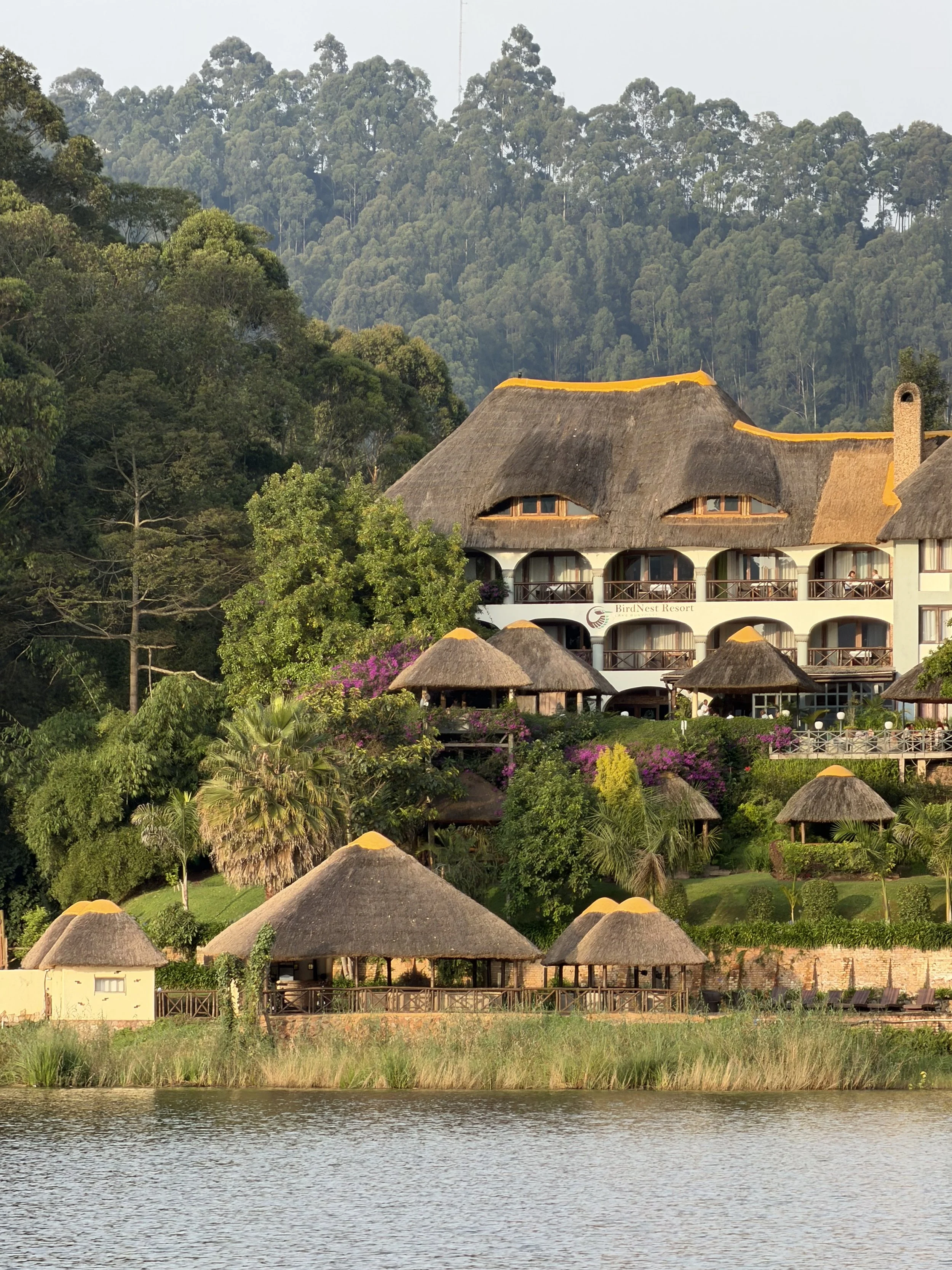 Resort buildings with thatched roofs nestled among lush green trees along the riverside, with a forested hillside in the background.