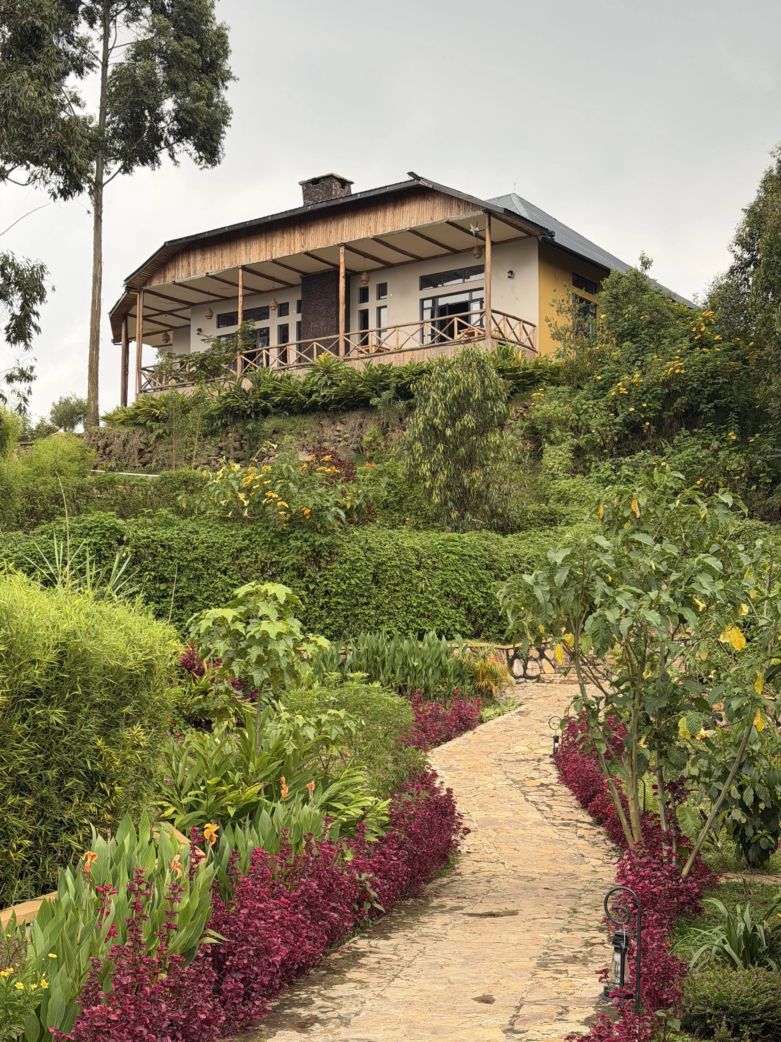 A house on a hill with a stone pathway leading up to it, surrounded by lush green plants and colorful flowers.