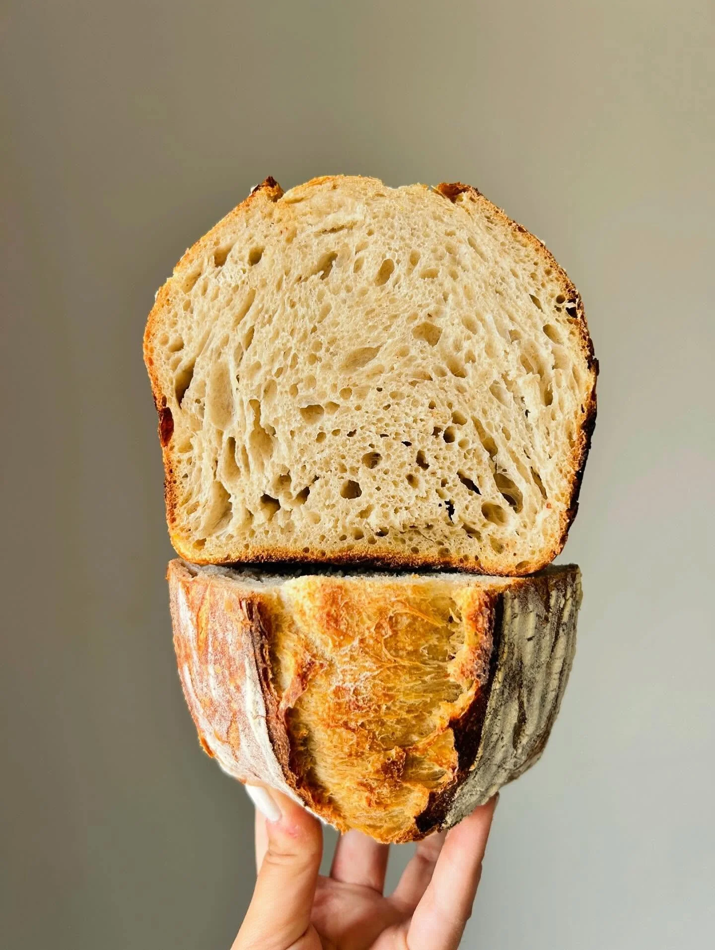 Sourdough Bread