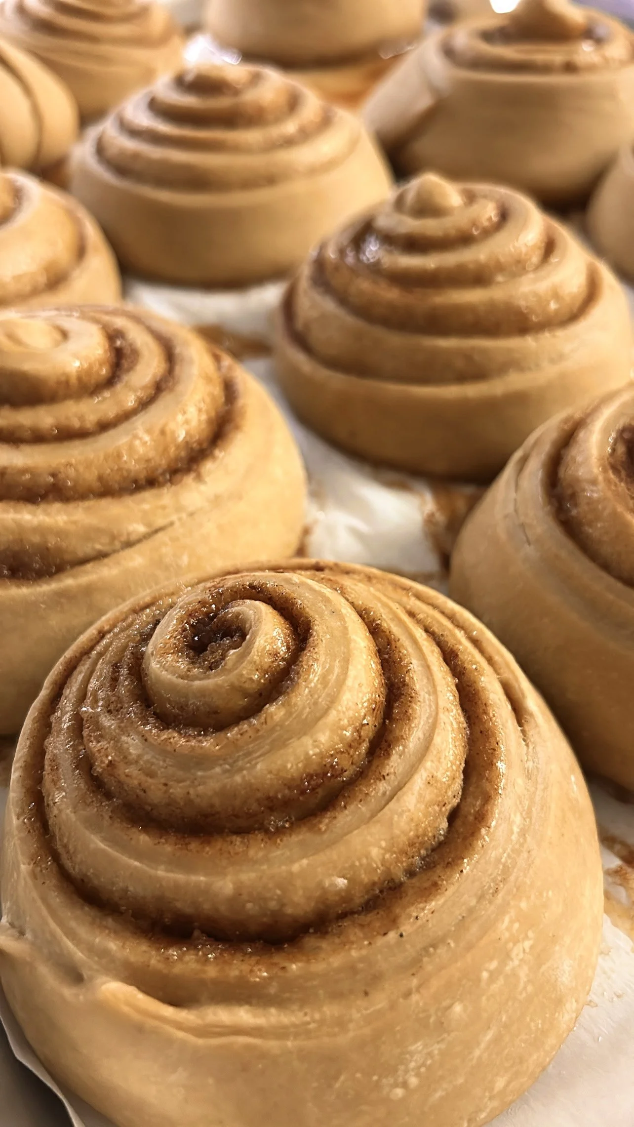 Sourdough Cinnamon Rolls