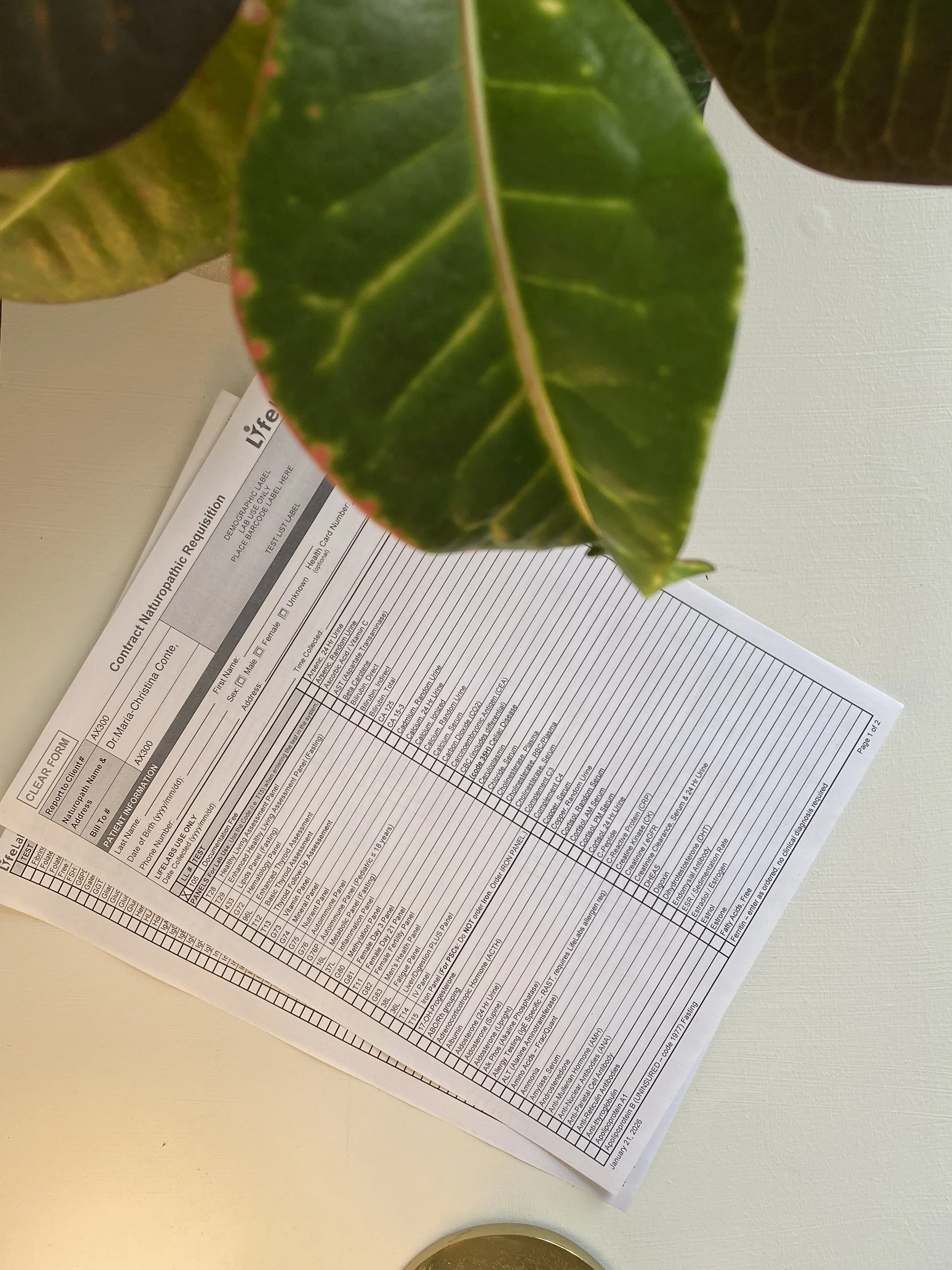 Your Labs Are ‘Normal’… So Why Don’t You Feel Normal?