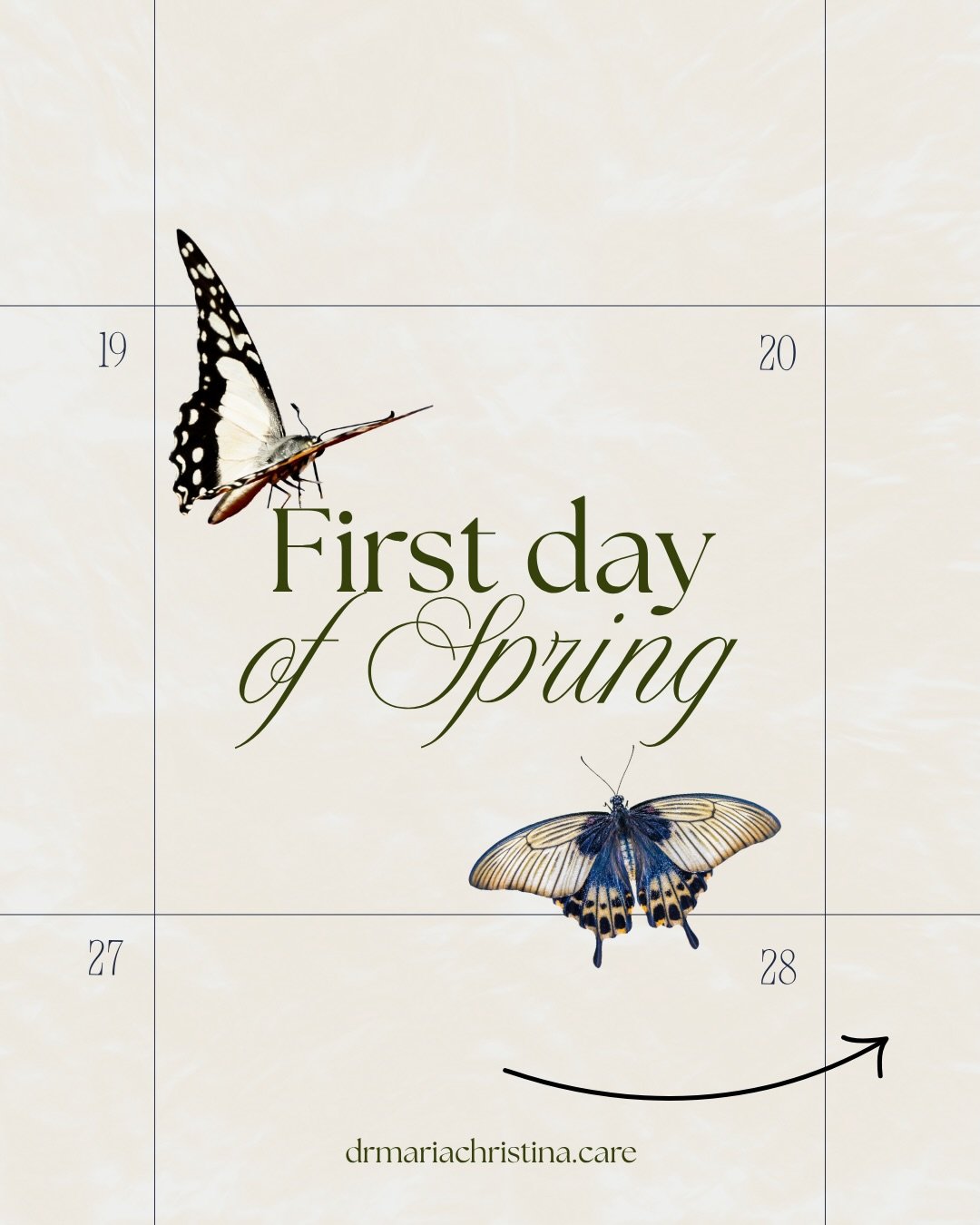 A shift from the stillness of winter into the growth and renewal of spring 🦋 

This season is not about rushing into change. It is about supporting the transition. Your body is naturally moving from rest into movement, from inward reflection into ou