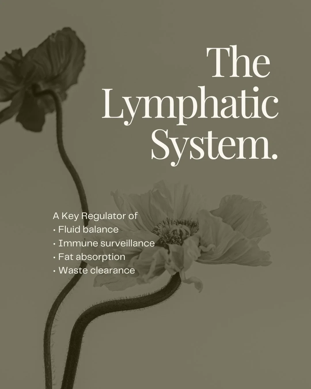 Most people only think about the lymphatic system when they notice swelling&hellip; but it&rsquo;s quietly supporting your body all the time.

It helps clear waste, move excess fluid, regulate inflammation, and carry immune cells throughout the body.