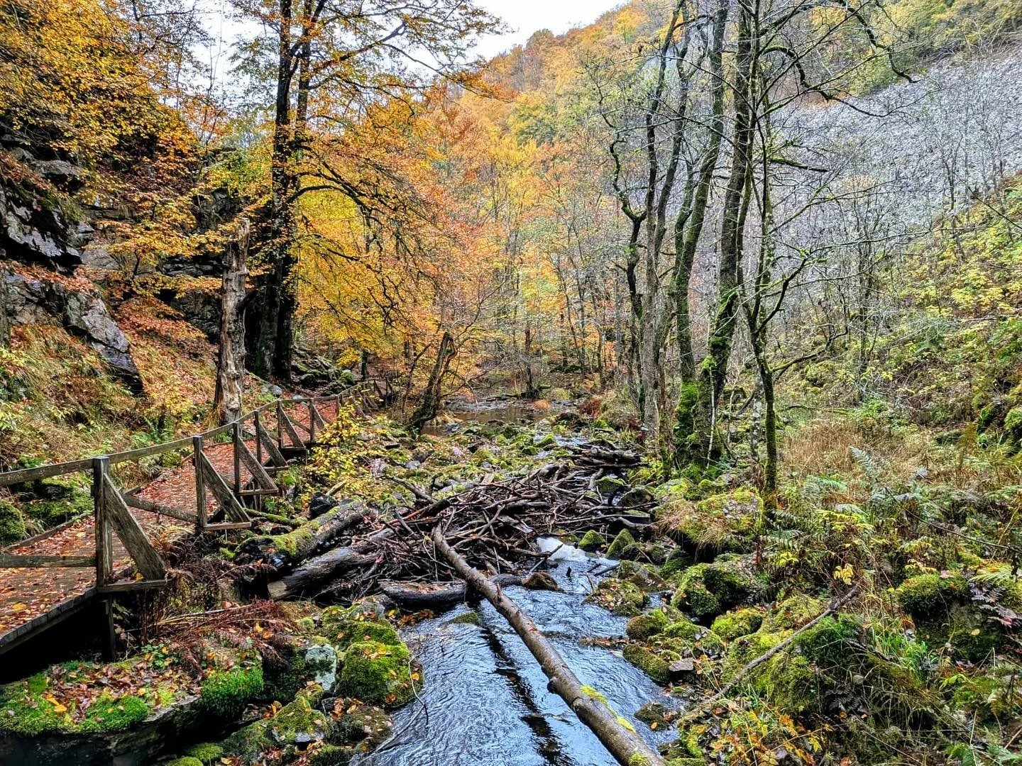 I somras kunde vi avsl&ouml;ja att vi f&aring;tt ett bidrag av Helge Ax:son Jonsons stiftelse f&ouml;r att genomf&ouml;ra ett projekt med nyskriven musik. Nu kan vi &auml;ven ber&auml;tta att vi g&ouml;r detta tillsammans med v&aring;ra goda v&auml;n