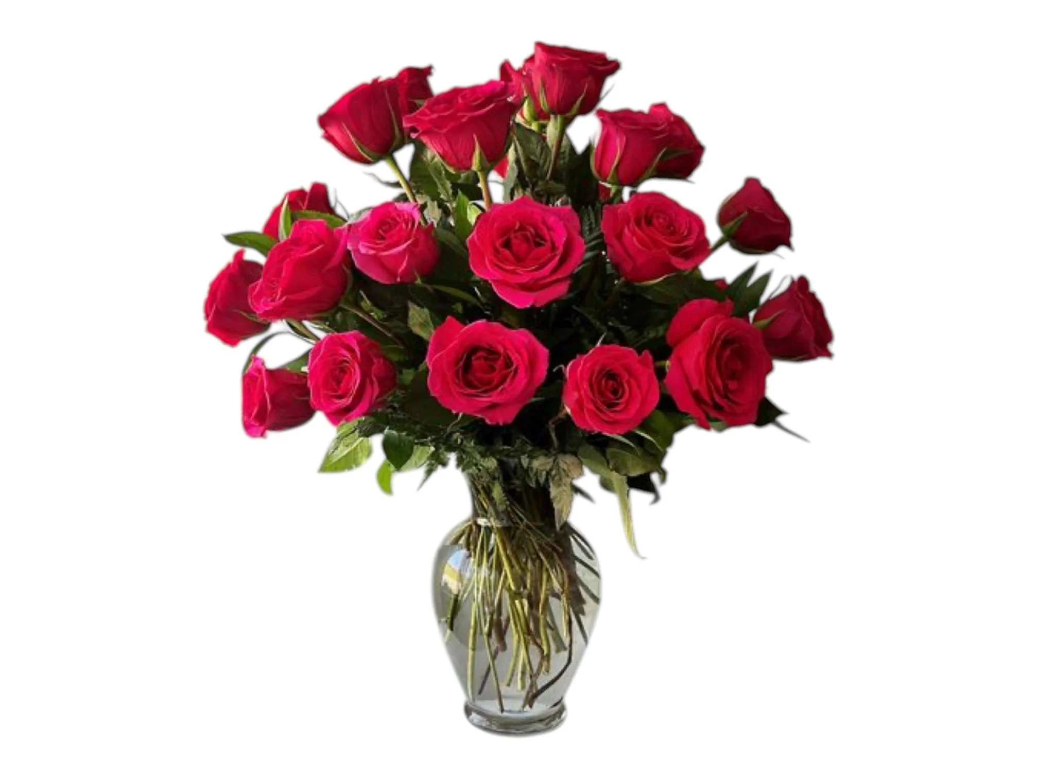 20 Roses in Vase