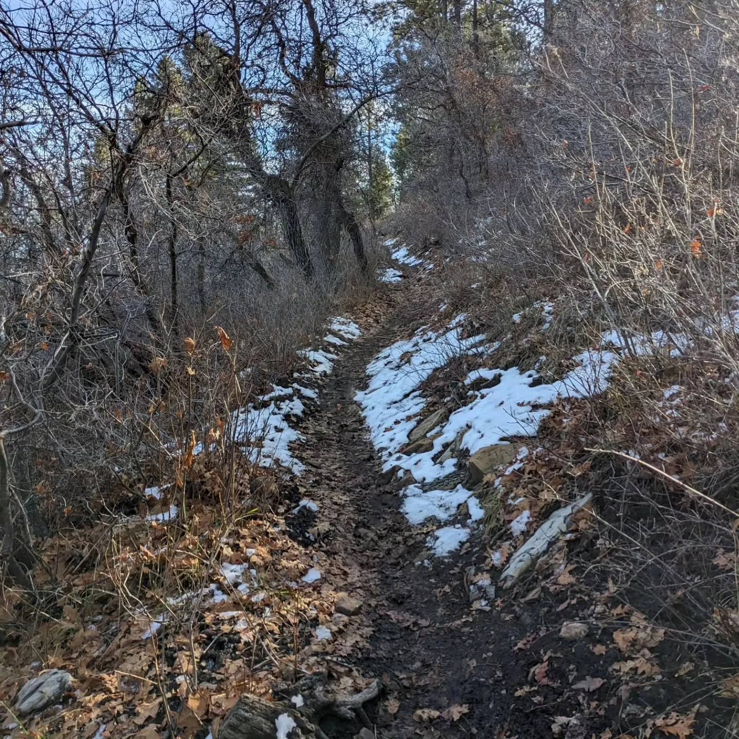 Last ride of the season on one of the best trails around.
See you next year Segment 28, sleep well.
#finalrip #bitofsnow #frozenruts