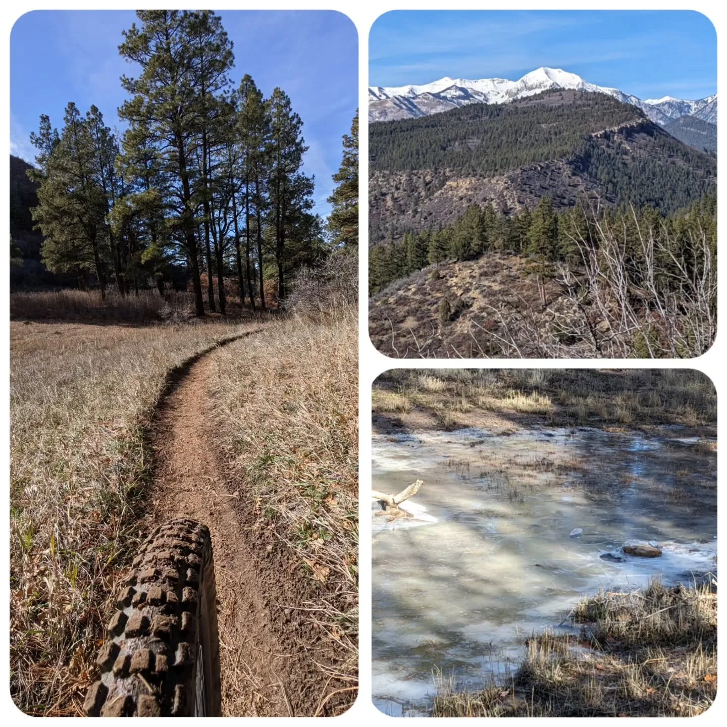 Happy T Day! 

It's that time of year where a 6 mile loop can yield snow, ice, mud, hero dirt and dust. 

The town trails could be shut down for the season overnight, get it while you can. 🤘

#whitestuffiscoming #desertseasonlooms