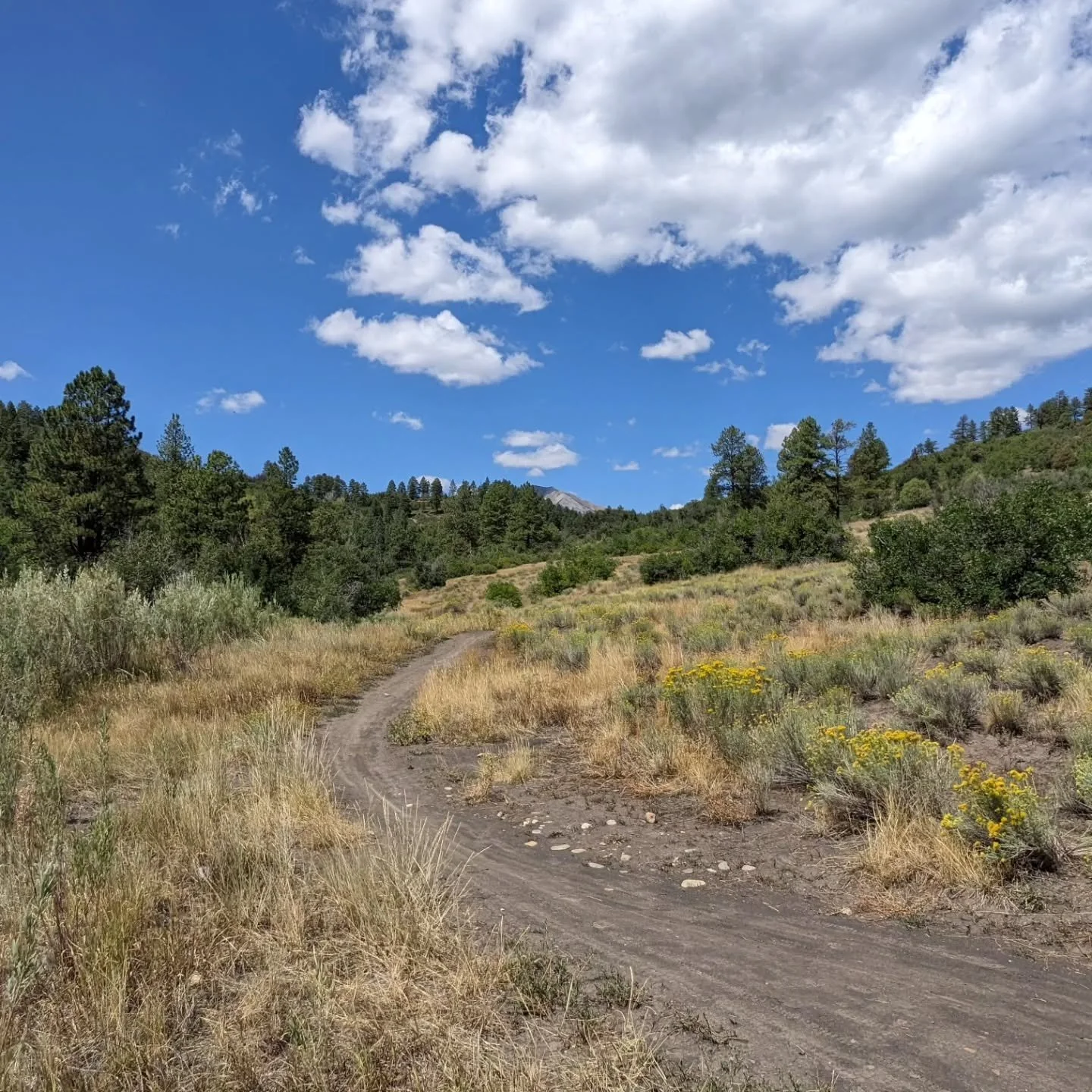 Perfect conditions today for some Big Fork setup.👍
@intend_bc
#postrainride #darkmarks #primodirt