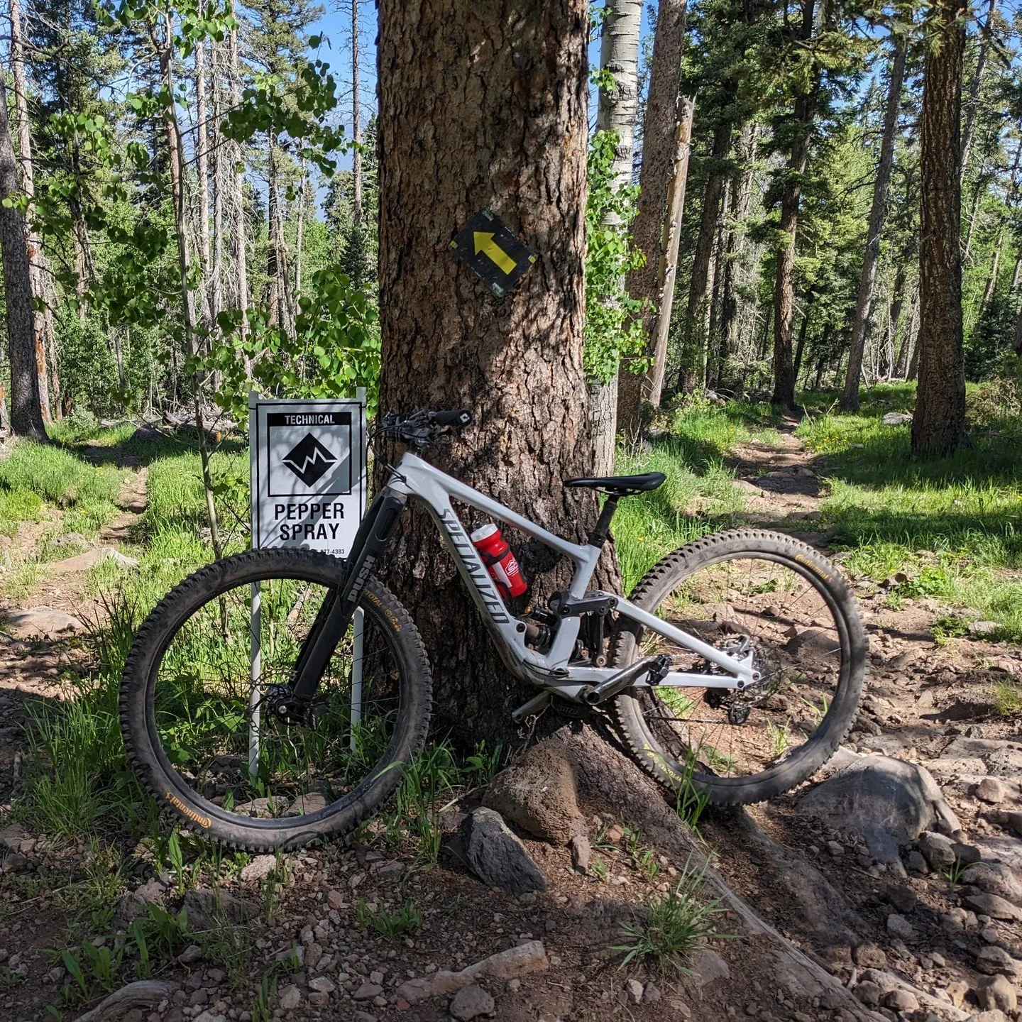 Lots of runs down the "hand crusher" @angelfire_bikepark (World Cup/Pepper Spray/World Cup). This type of terrain is where inverted forks shine!
#alwaystesting #USDvsRSU #wheelbasher #tiredestroyer