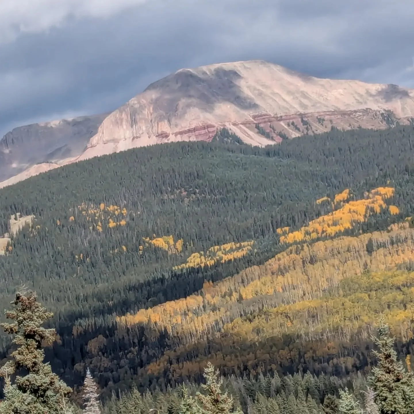 Excellent conditions for the last day of the season @purg_parks. 👌

First chair up means seven laps and some sore hands by 2pm. 

The traditional closing day Elbert Creek drop, but on the big bike this year.🤘

The cabin on Elbert Creek trail was bu