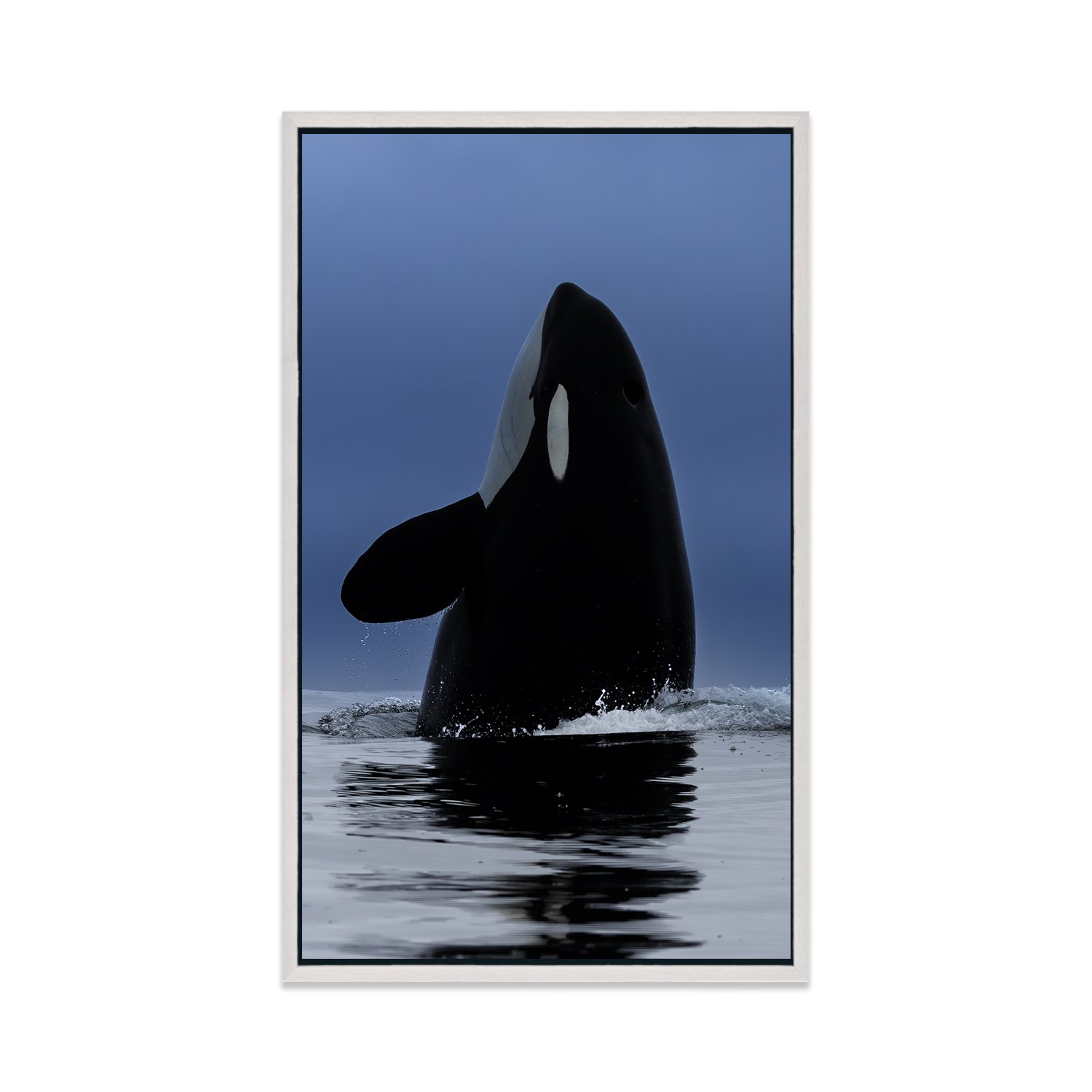 CUADRO.DAVID [07].jpg (Copy)