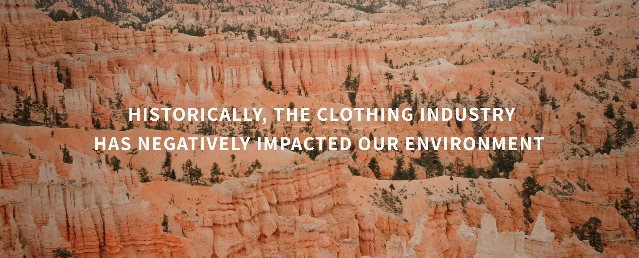 HEADER.SUSTAINABILITY.IMAGE [01.4].jpg