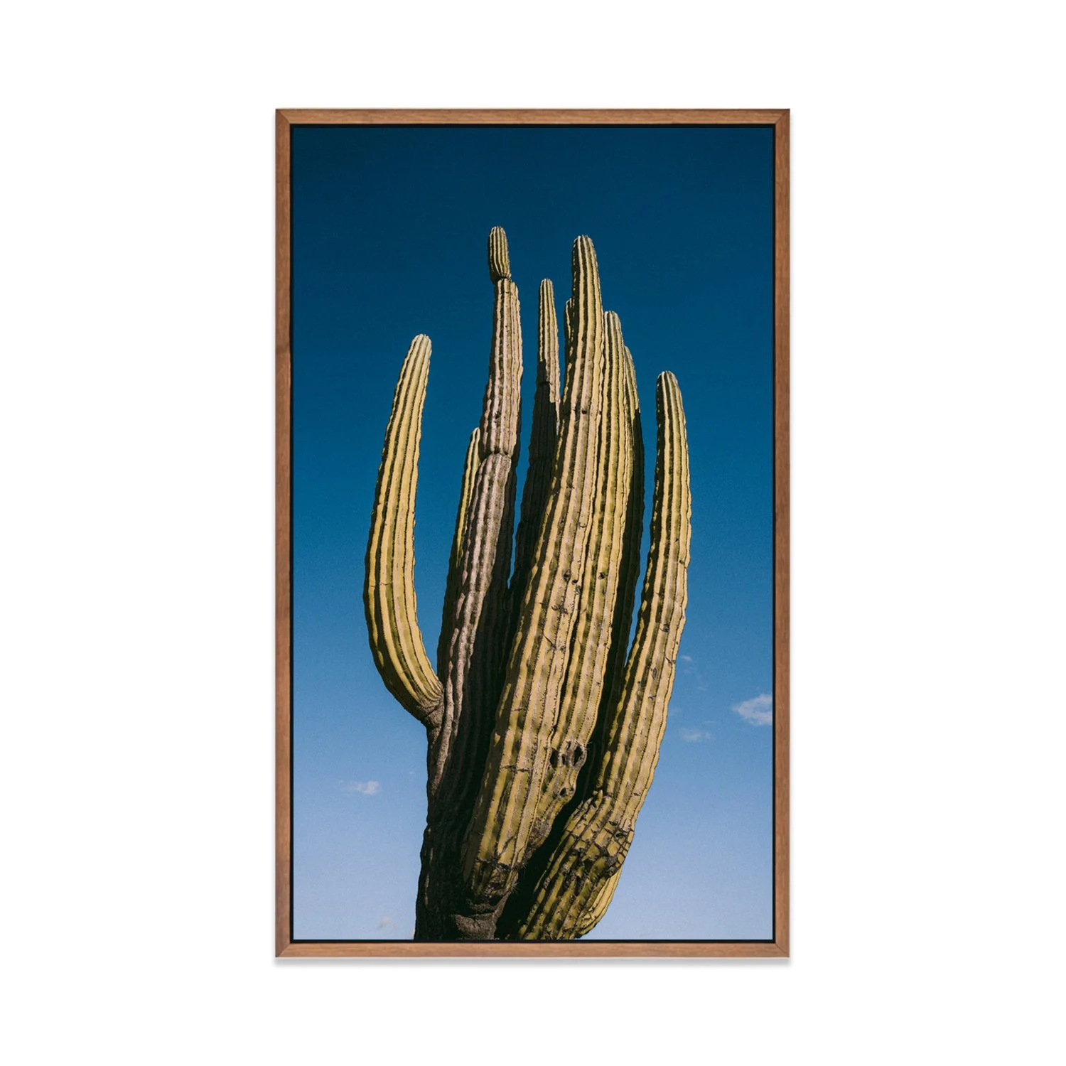 CUADRO.KAYLOR [01].jpg