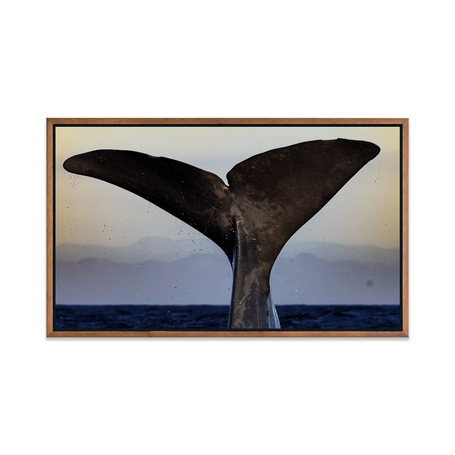 CUADRO.DAVID [13].jpg (Copy)