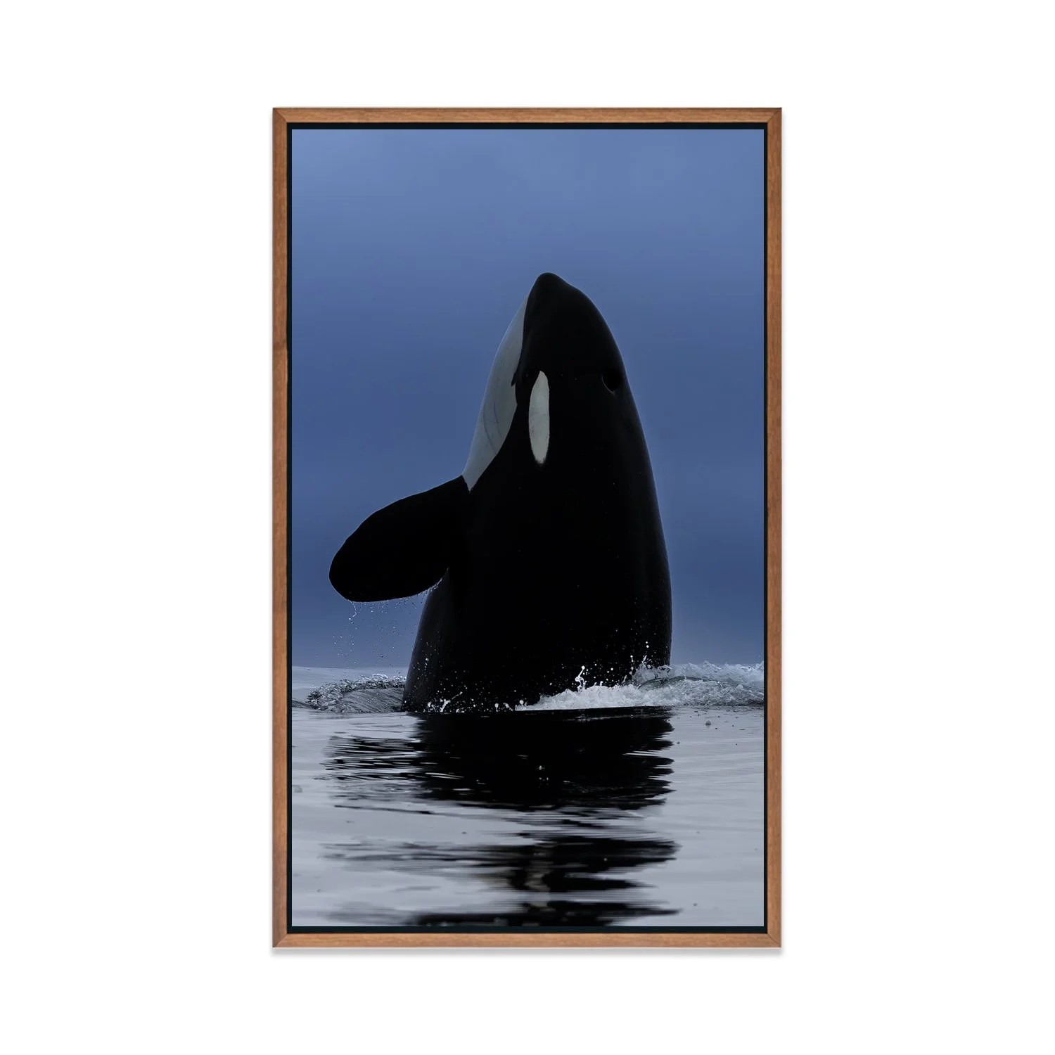 CUADRO.DAVID [09].jpg (Copy)