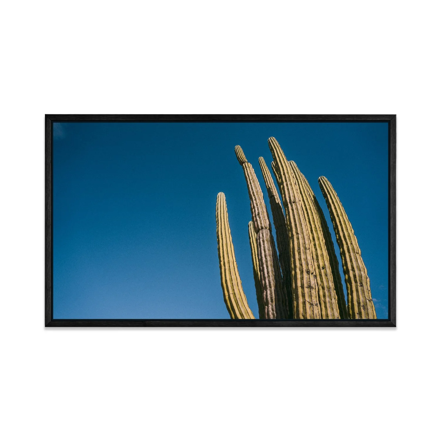 CUADRO.KAYLOR [05].jpg (Copy)