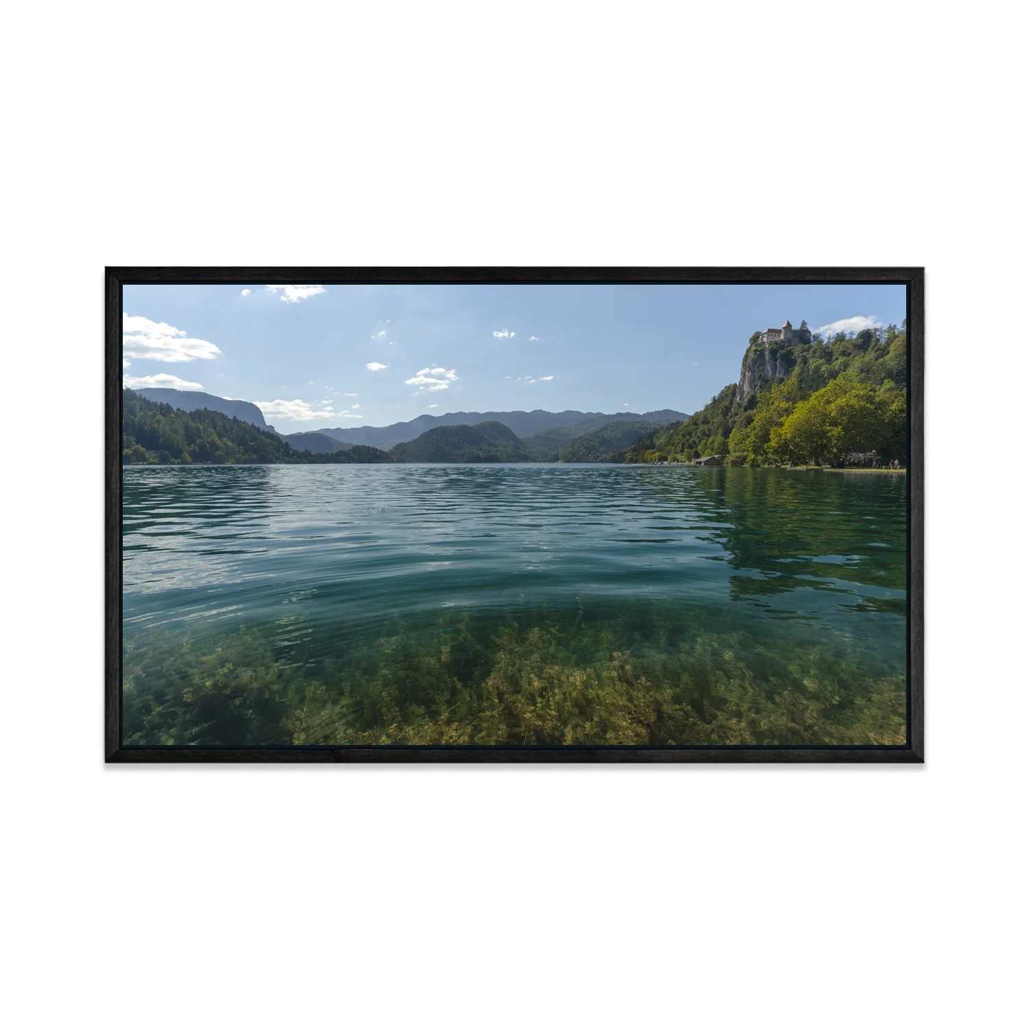 CUADRO.AARON [05].jpg (Copy)