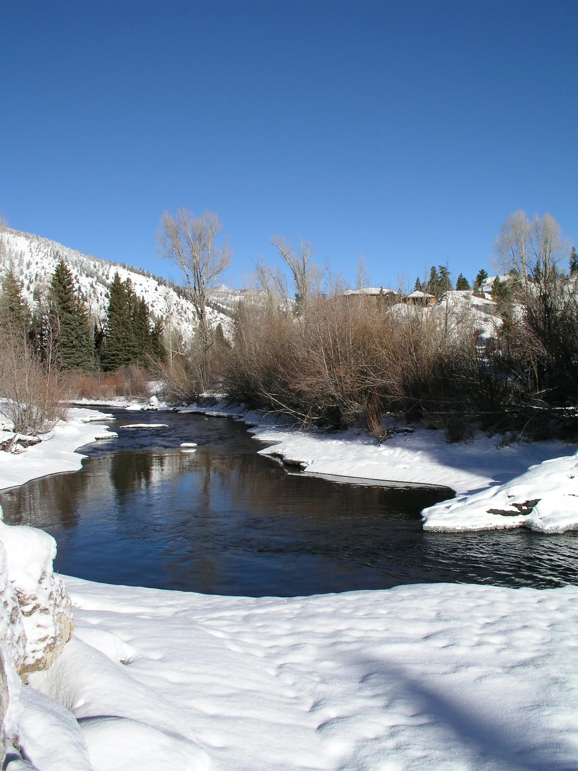 A snowy river flowing through a winter landscape with bare trees, snow-covered ground, and mountains in the background against a clear blue sky.