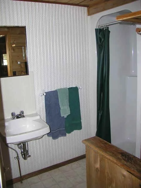 cabin10-bath.JPG