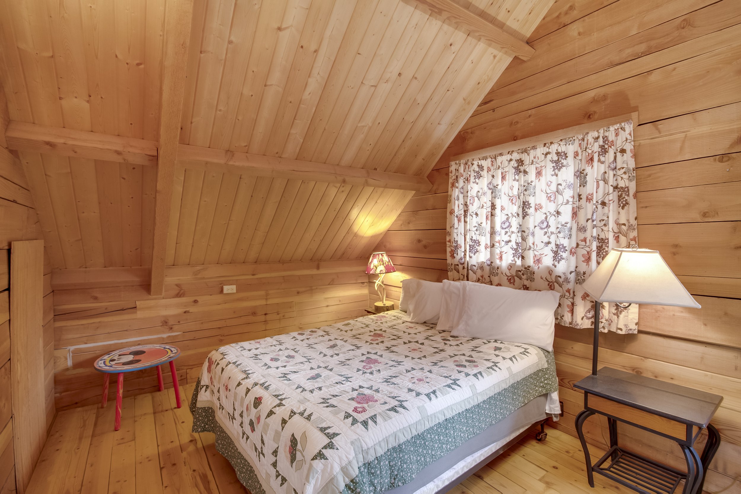 543 Showdown Trail #37-7.jpg