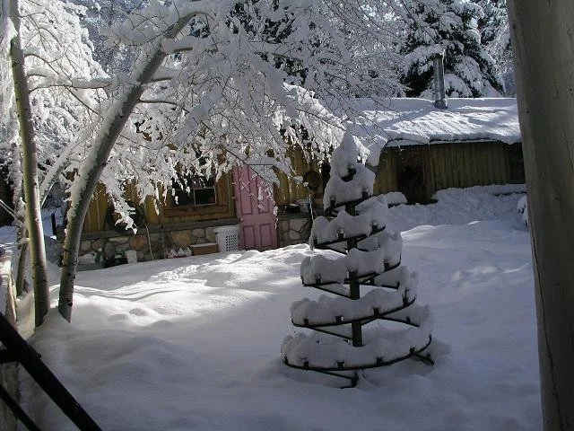 Phyllis Xmas Tree 2007 B.JPG
