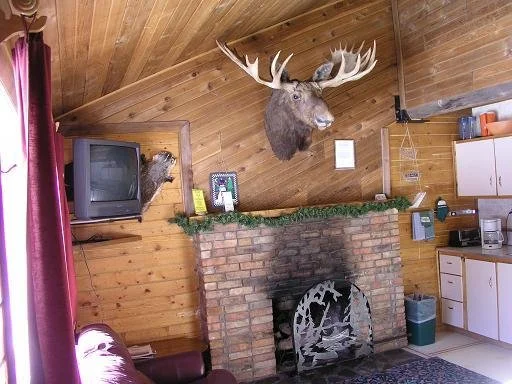 cabin14den.JPG