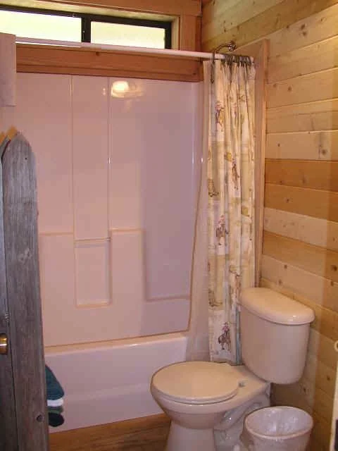 cabin31-bath-up2.JPG