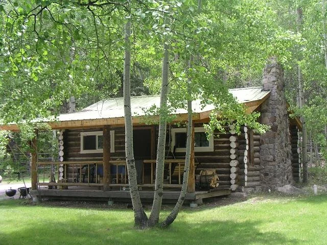 texan_cabin12.jpg