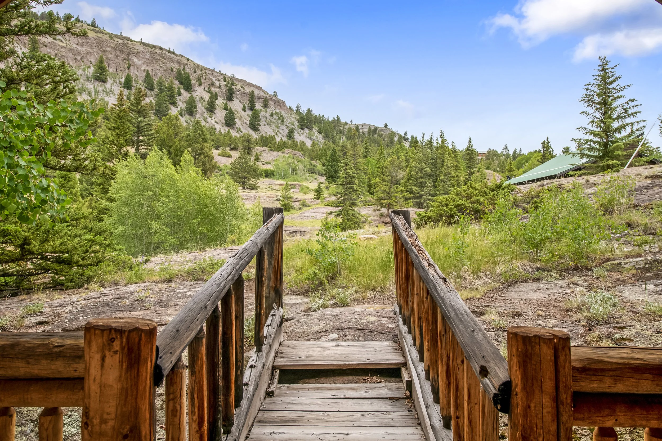 228 Showdown Trail #23-6.jpg