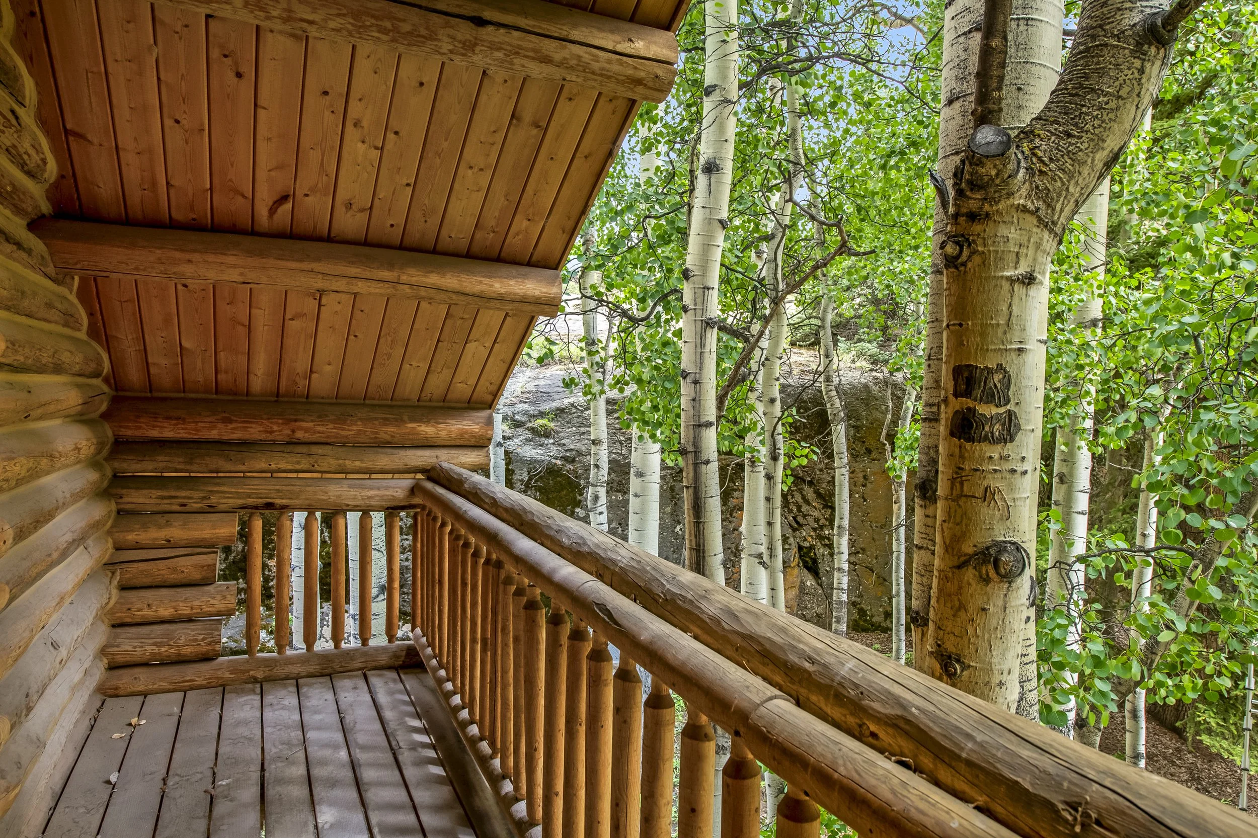 228 Showdown Trail #23-5.jpg