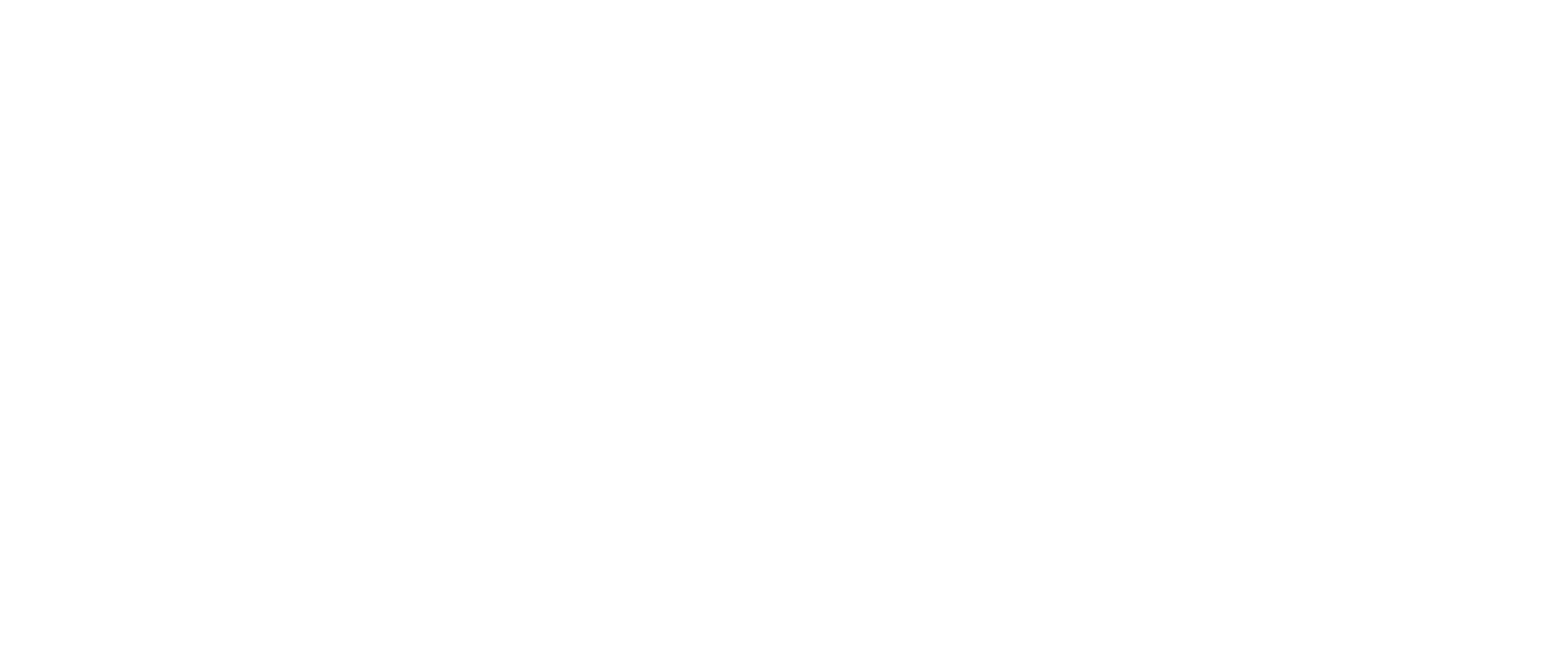 ELYSE GARDNER •  MA  •  LPC 