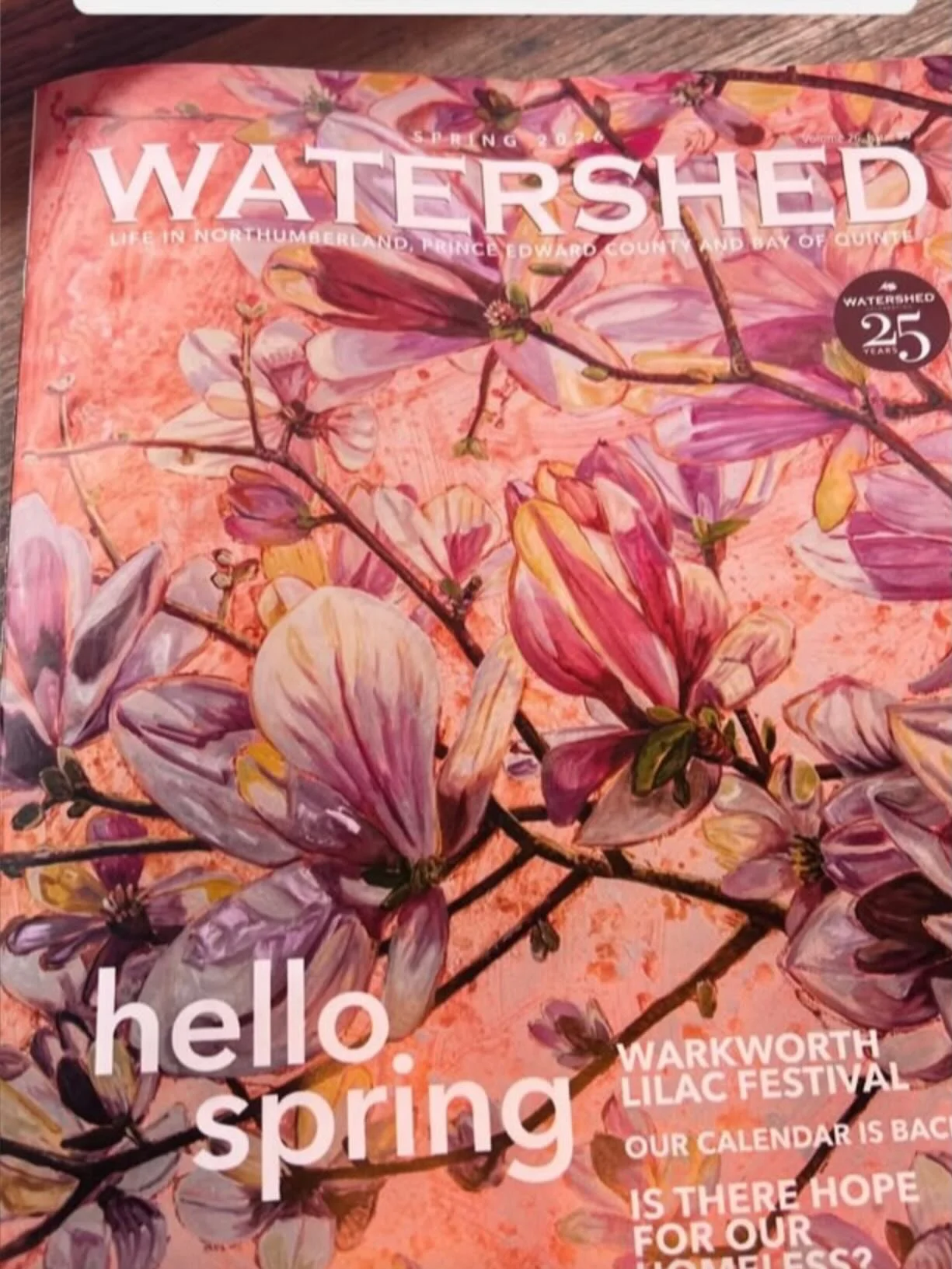 Thank you @watershedmagazine for the opportunity to grace your spring cover.  Still waiting to get my hardcopy but I am loving all the colourful posts today.  Thanks to everyone for tagging me! &ldquo;All In&rdquo;, 48x60, oil on panel with resin, wi