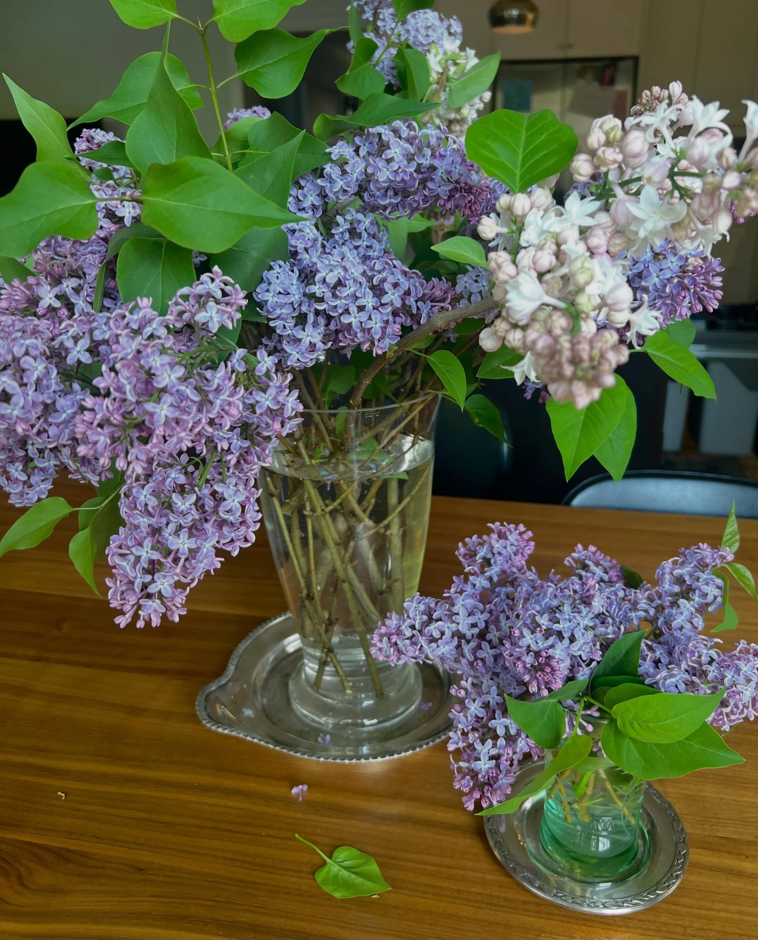 Smellagram needed&hellip; my house smells like purple heaven.  Thanks @josheffield for gifting me these beautiful lilac branches.  I&rsquo;ve never painted lilacs before but there is a first time for everything. 😊💜 #lilac #marymclornvalle #flowers 
