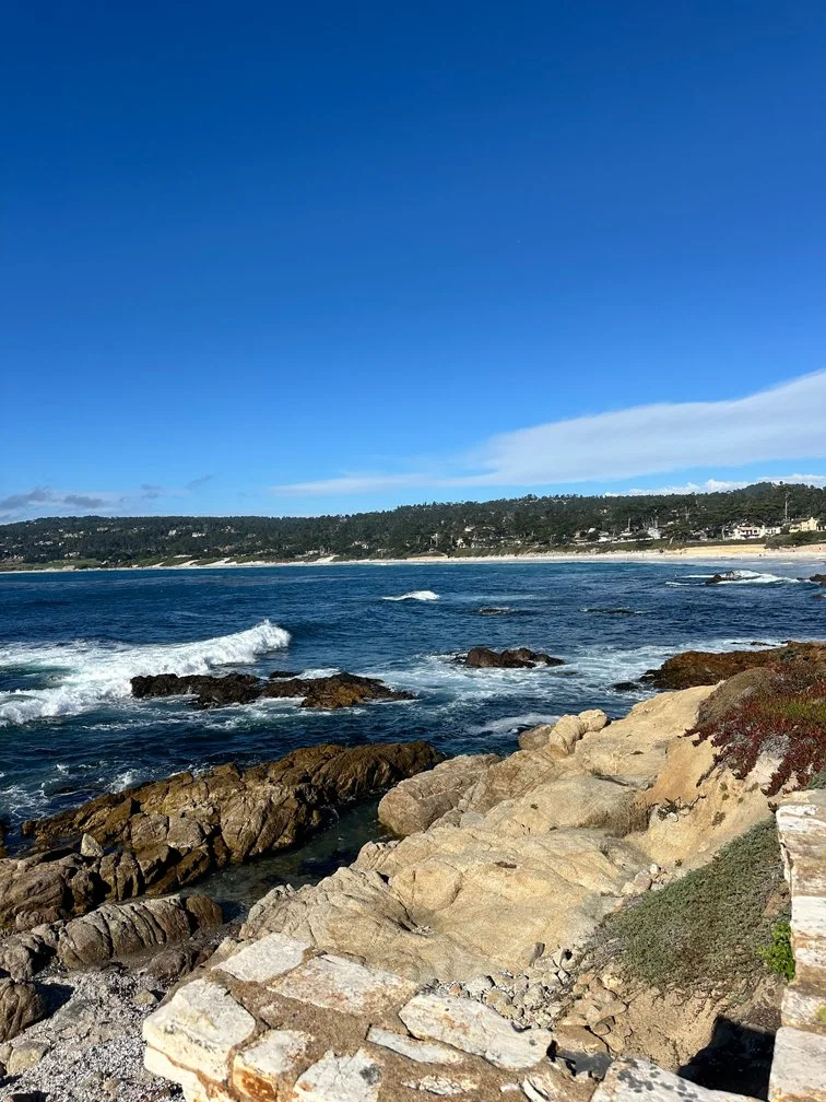 San Francisco to Santa Barbara: Four Days of Wine, Waves &amp; Whales