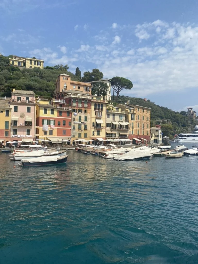 Colored buildings sit in along a shore line with boats docked.